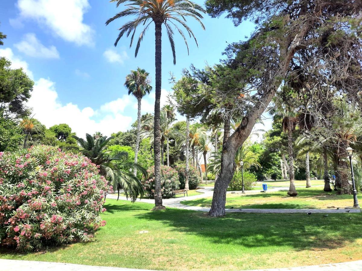 Sinforosa Park Apartments Torrevieja Luaran gambar